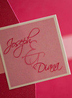 Diana's Mom 2nd pass