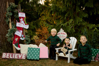 Michelle M holiday photos at Atkinson Common 30 minute session
