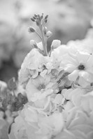 details 16