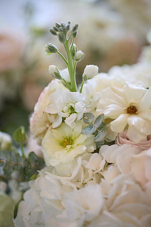details 15