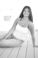 taylor 6