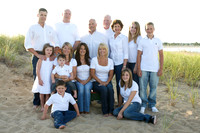 the dahns