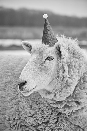 glenn livermore photography 0016