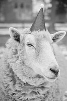 glenn livermore photography 0014