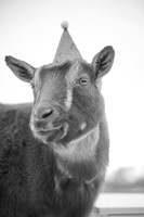 glenn livermore photography 0012