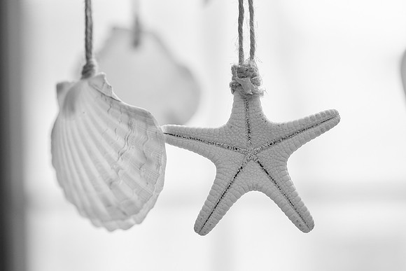 details 0024