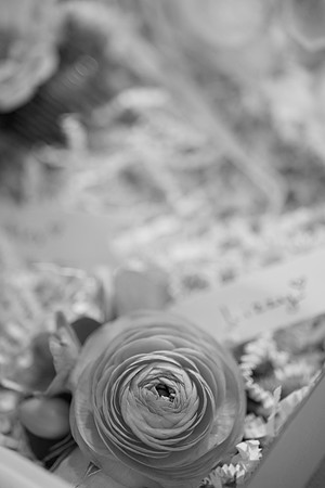 details 0006