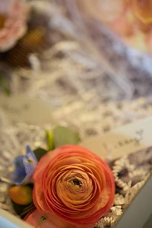 details 0005