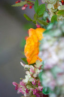 Details Crane Estate wedding photos