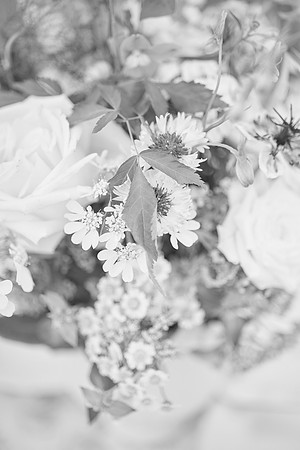 details 1 0042