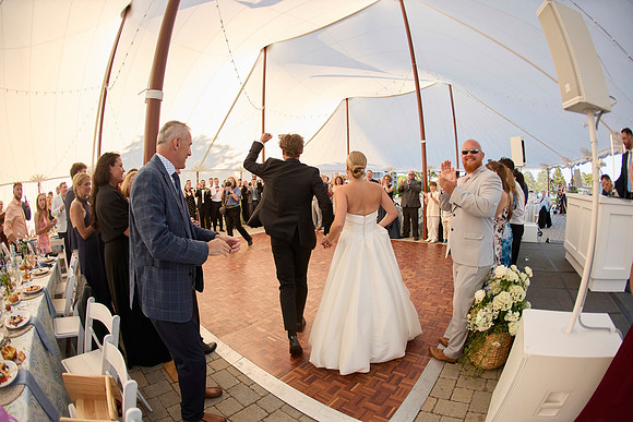 tcd 1 0243