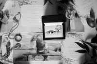 details 1 0020