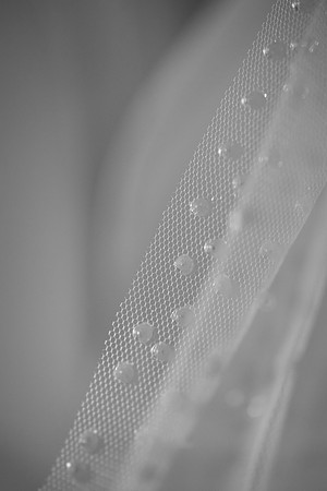 details 1 0016