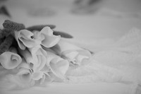 details 1 0020