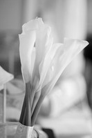 details 1 0012