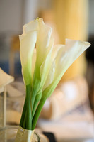 details 1 0011