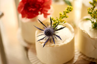 details 1 0007