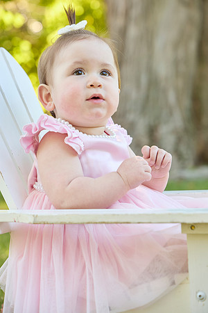 daphne 1 0037
