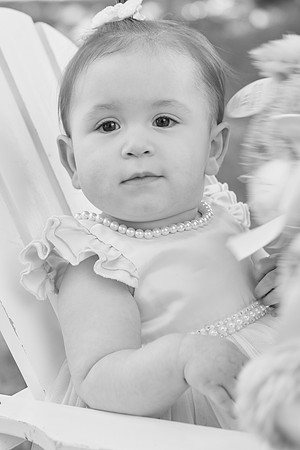 daphne 1 0060