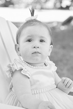 daphne 1 0054