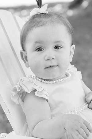 daphne 1 0064