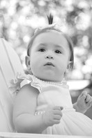 daphne 1 0004