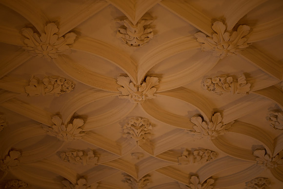 details 1 0021