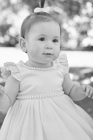 daphne 1 0088