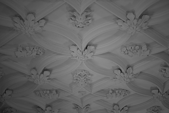 details 1 0022