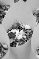 beach wedding details