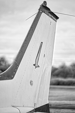 IMG_0028 1