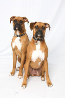 Grace and Louie