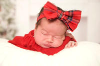 Studio holiday family photos Sarah R 11 23