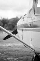 IMG_0024 1 1