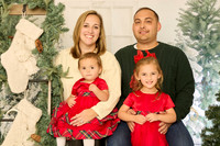 Laura studio holiday photos 15 minute session