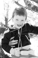family photos Sullivan