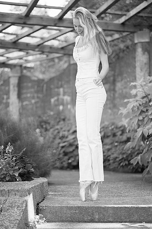 willow 74