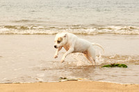 The Millers family beach photos 2024