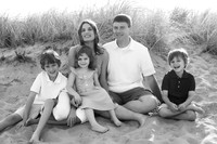 The Martins at Plum Island