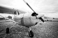 IMG_0006 1
