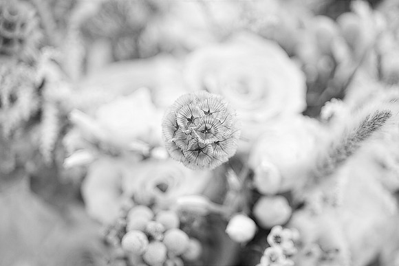details 6