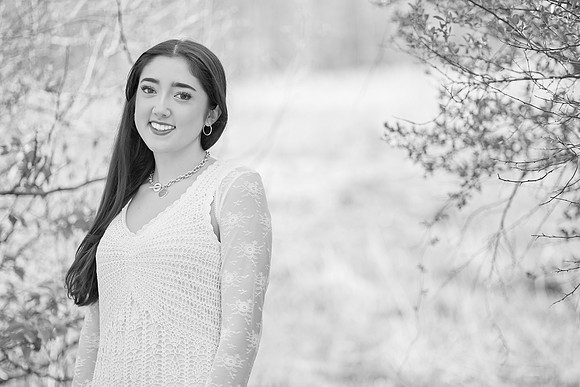 julia 14