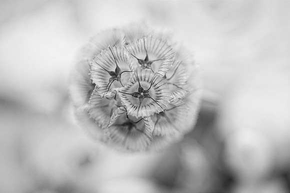 details 8