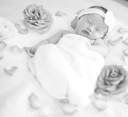 Newborn photos