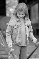 scarlett 5 2510
