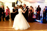 Museum of Science wedding toast cake first dance