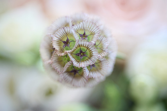 details 7