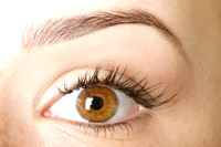 eyelash col